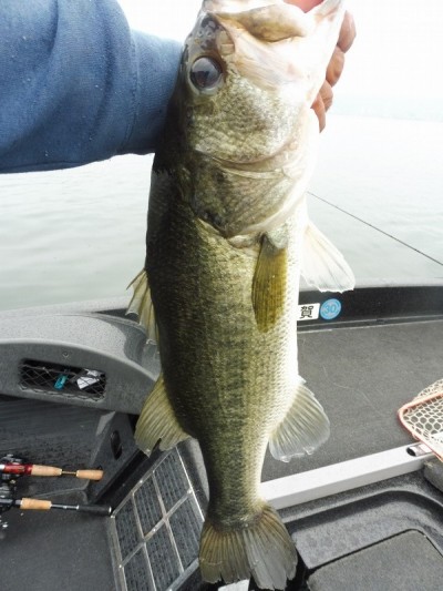 truth smiley_fishing_report ブログ写真 2015/07/08