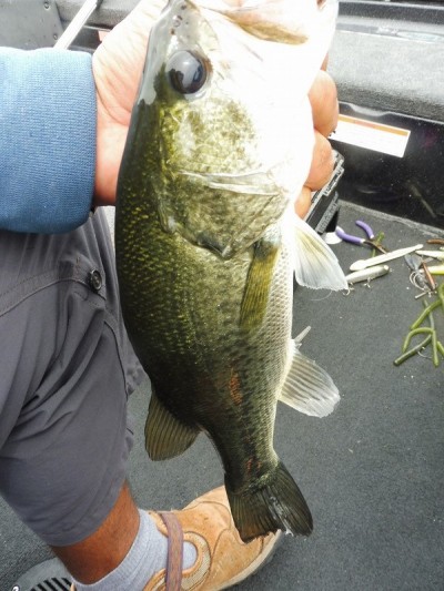 truth smiley_fishing_report ブログ写真 2015/07/08