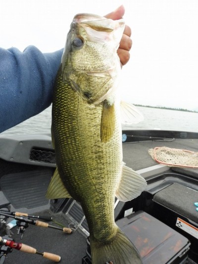 truth smiley_fishing_report ブログ写真 2015/07/08