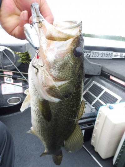 truth smiley_fishing_report ブログ写真 2015/07/09