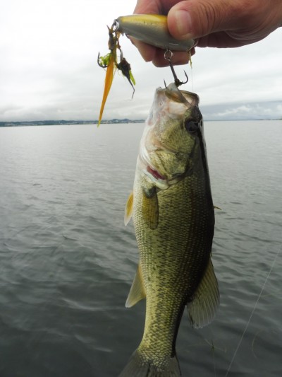 truth smiley_fishing_report ブログ写真 2015/07/09