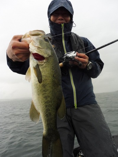 truth smiley_fishing_report ブログ写真 2015/07/18