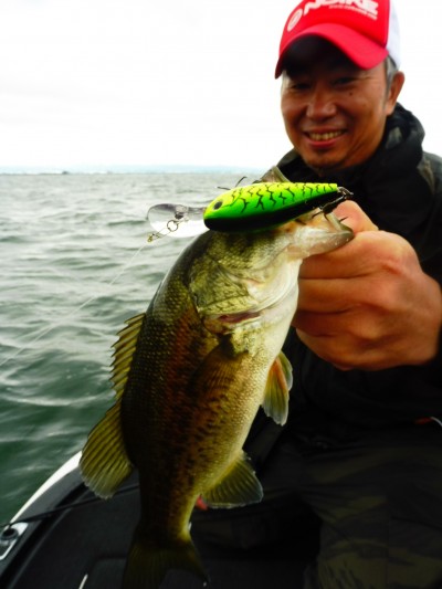truth smiley_fishing_report ブログ写真 2015/07/23