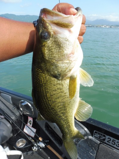 truth smiley_fishing_report ブログ写真 2015/07/24