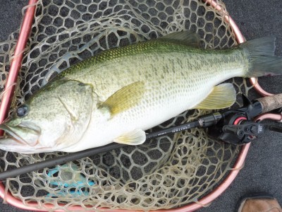 truth smiley_fishing_report ブログ写真 2015/07/24