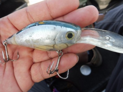 truth smiley_fishing_report ブログ写真 2015/07/25