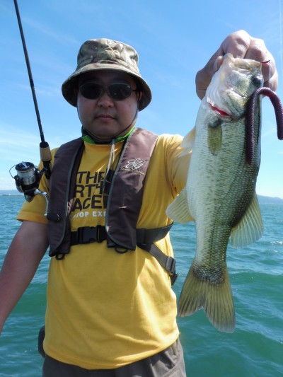 truth smiley_fishing_report ブログ写真 2015/07/25