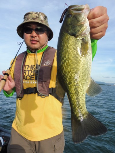 truth smiley_fishing_report ブログ写真 2015/07/25