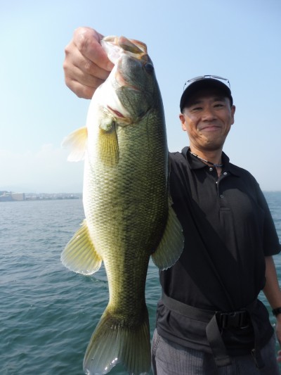 truth smiley_fishing_report ブログ写真 2015/08/01