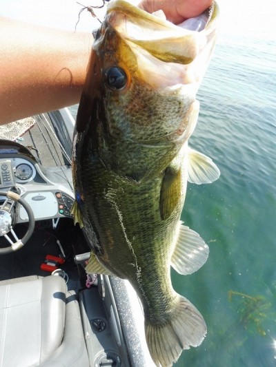 truth smiley_fishing_report ブログ写真 2015/08/07