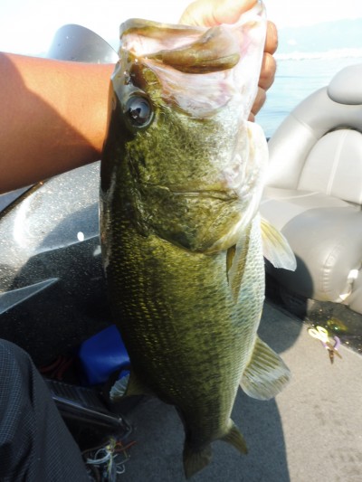 truth smiley_fishing_report ブログ写真 2015/08/09