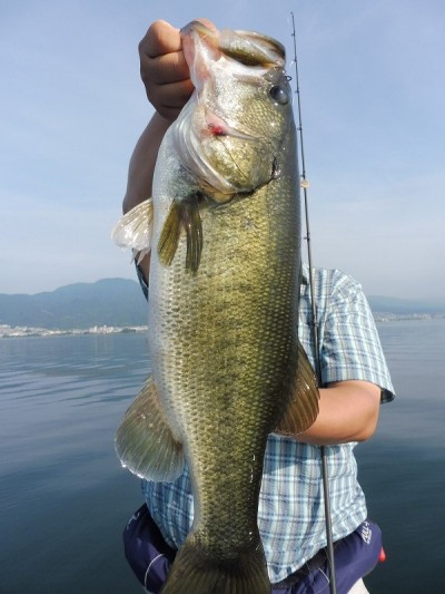 truth smiley_fishing_report ブログ写真 2015/08/11