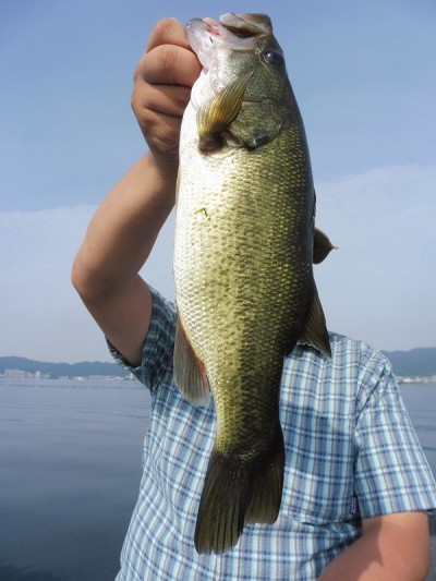 truth smiley_fishing_report ブログ写真 2015/08/11