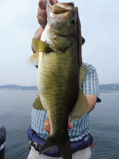 truth smiley_fishing_report ブログ写真 2015/08/11