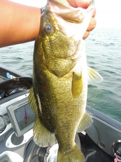 truth smiley_fishing_report ブログ写真 2015/08/12