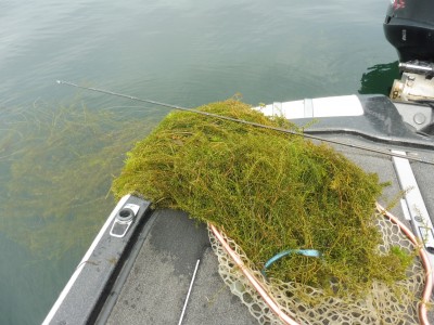 truth smiley_fishing_report ブログ写真 2015/08/12