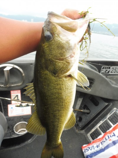 truth smiley_fishing_report ブログ写真 2015/08/13