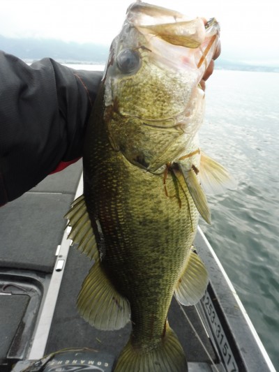 truth smiley_fishing_report ブログ写真 2015/08/13