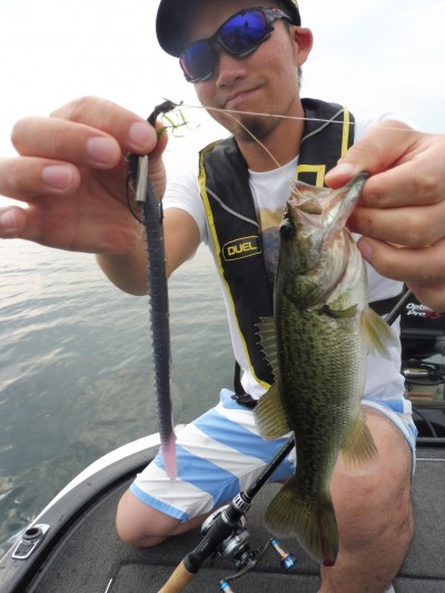 truth smiley_fishing_report ブログ写真 2015/08/16
