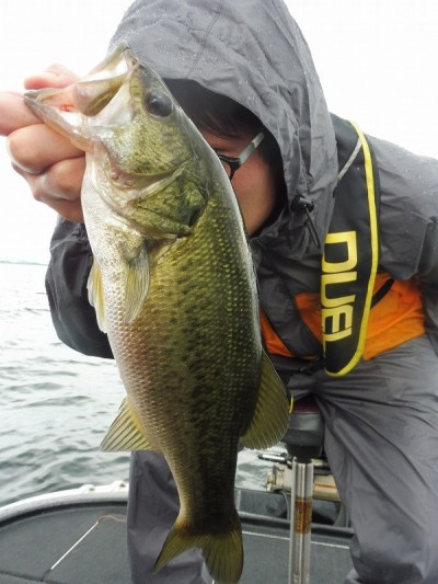 truth smiley_fishing_report ブログ写真 2015/08/17