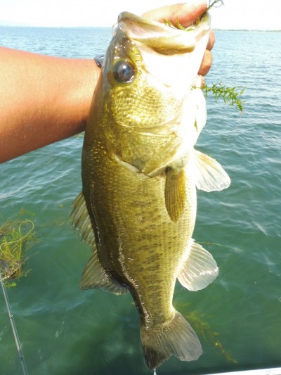 truth smiley_fishing_report ブログ写真 2015/08/18