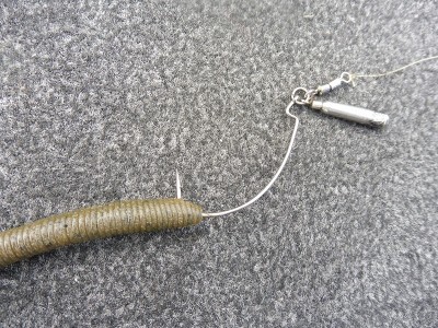 truth smiley_fishing_report ブログ写真 2015/08/19