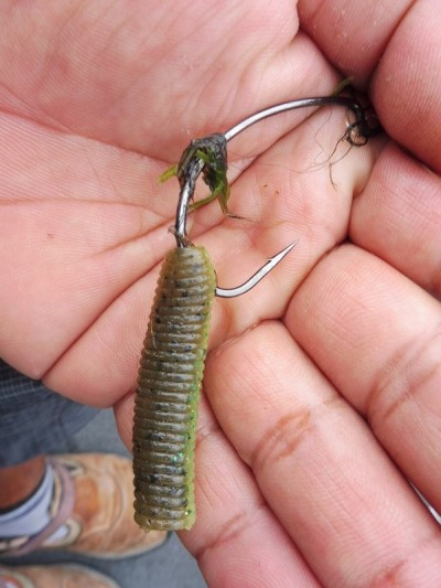 truth smiley_fishing_report ブログ写真 2015/08/19