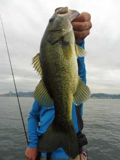 truth smiley_fishing_report ブログ写真 2015/08/19