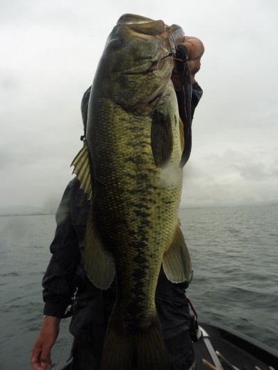 truth smiley_fishing_report ブログ写真 2015/08/20