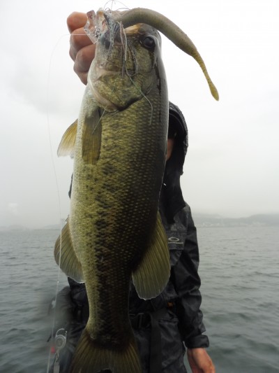 truth smiley_fishing_report ブログ写真 2015/08/20