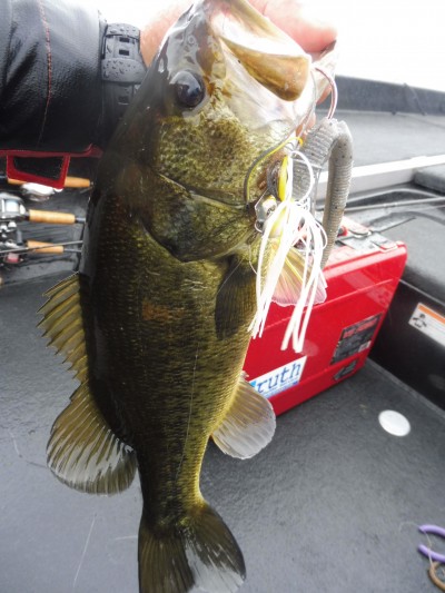 truth smiley_fishing_report ブログ写真 2015/08/20