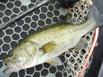 truth smiley_fishing_report ブログ写真 2015/08/20