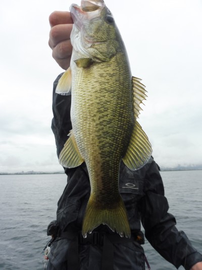 truth smiley_fishing_report ブログ写真 2015/08/20