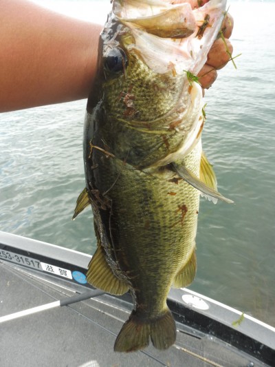 truth smiley_fishing_report ブログ写真 2015/08/22