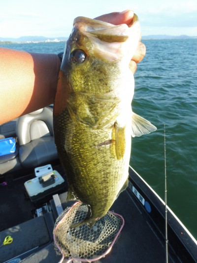 truth smiley_fishing_report ブログ写真 2015/08/23