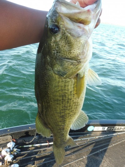 truth smiley_fishing_report ブログ写真 2015/08/23