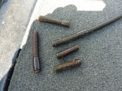 truth smiley_fishing_report ブログ写真 2015/08/23