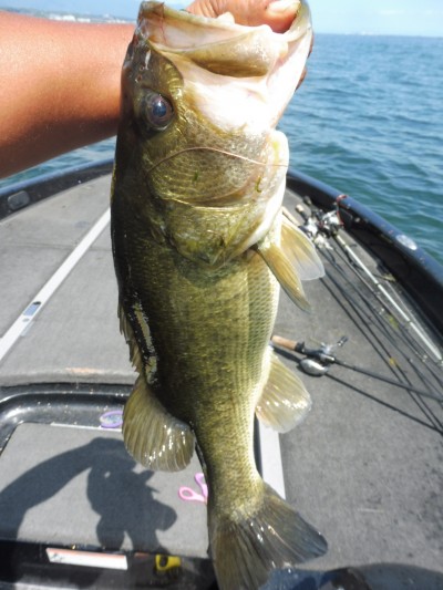 truth smiley_fishing_report ブログ写真 2015/08/23