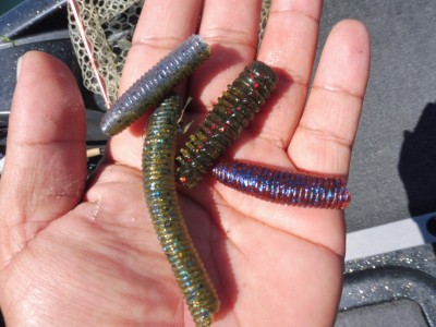 truth smiley_fishing_report ブログ写真 2015/08/27