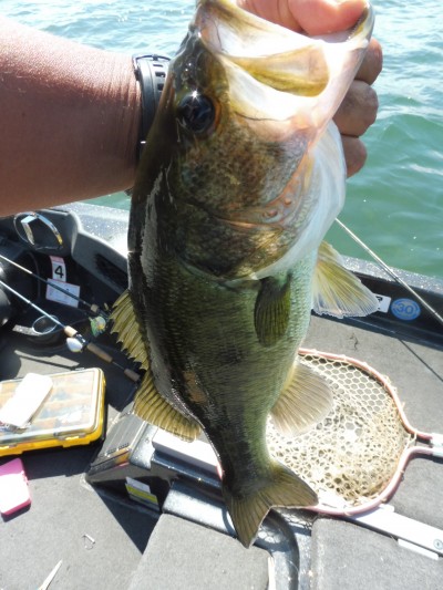 truth smiley_fishing_report ブログ写真 2015/08/27