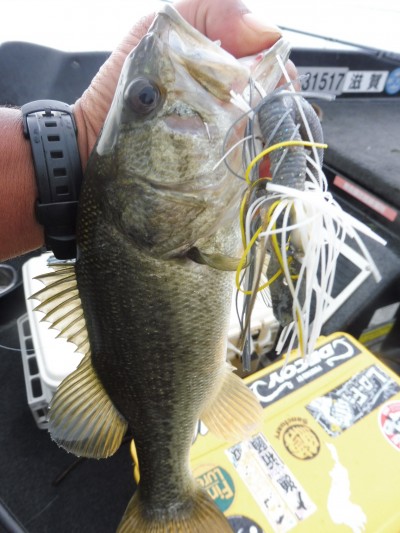 truth smiley_fishing_report ブログ写真 2015/08/28