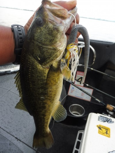 truth smiley_fishing_report ブログ写真 2015/08/28