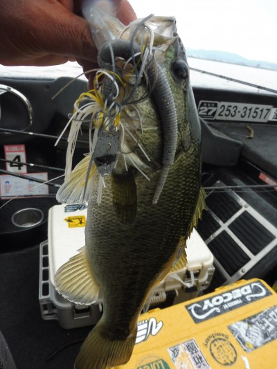 truth smiley_fishing_report ブログ写真 2015/08/28