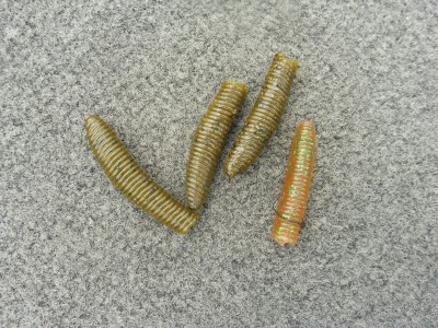 truth smiley_fishing_report ブログ写真 2015/08/28