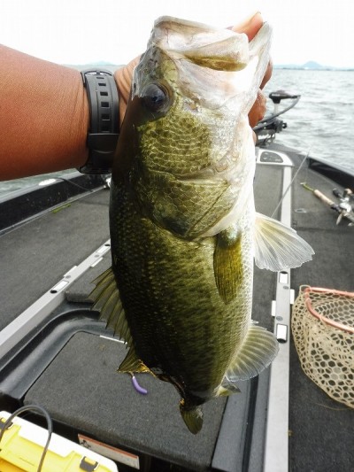 truth smiley_fishing_report ブログ写真 2015/09/01