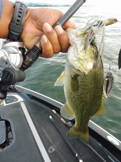 truth smiley_fishing_report ブログ写真 2015/09/02