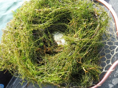 truth smiley_fishing_report ブログ写真 2015/09/02