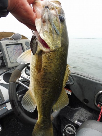 truth smiley_fishing_report ブログ写真 2015/09/03