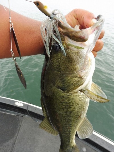 truth smiley_fishing_report ブログ写真 2015/09/03
