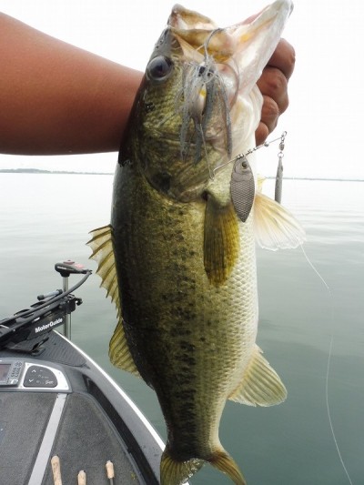 truth smiley_fishing_report ブログ写真 2015/09/03